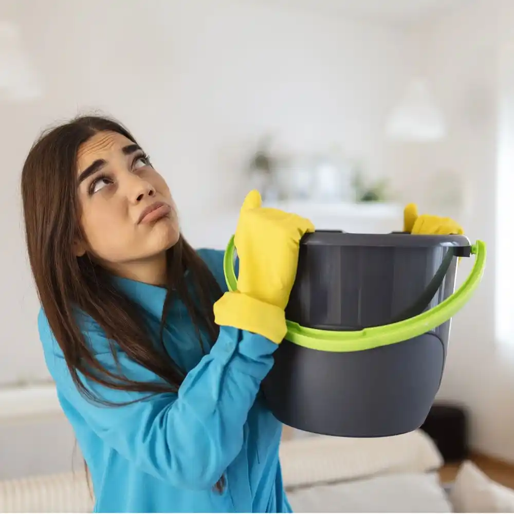 water damage restoration service Scio